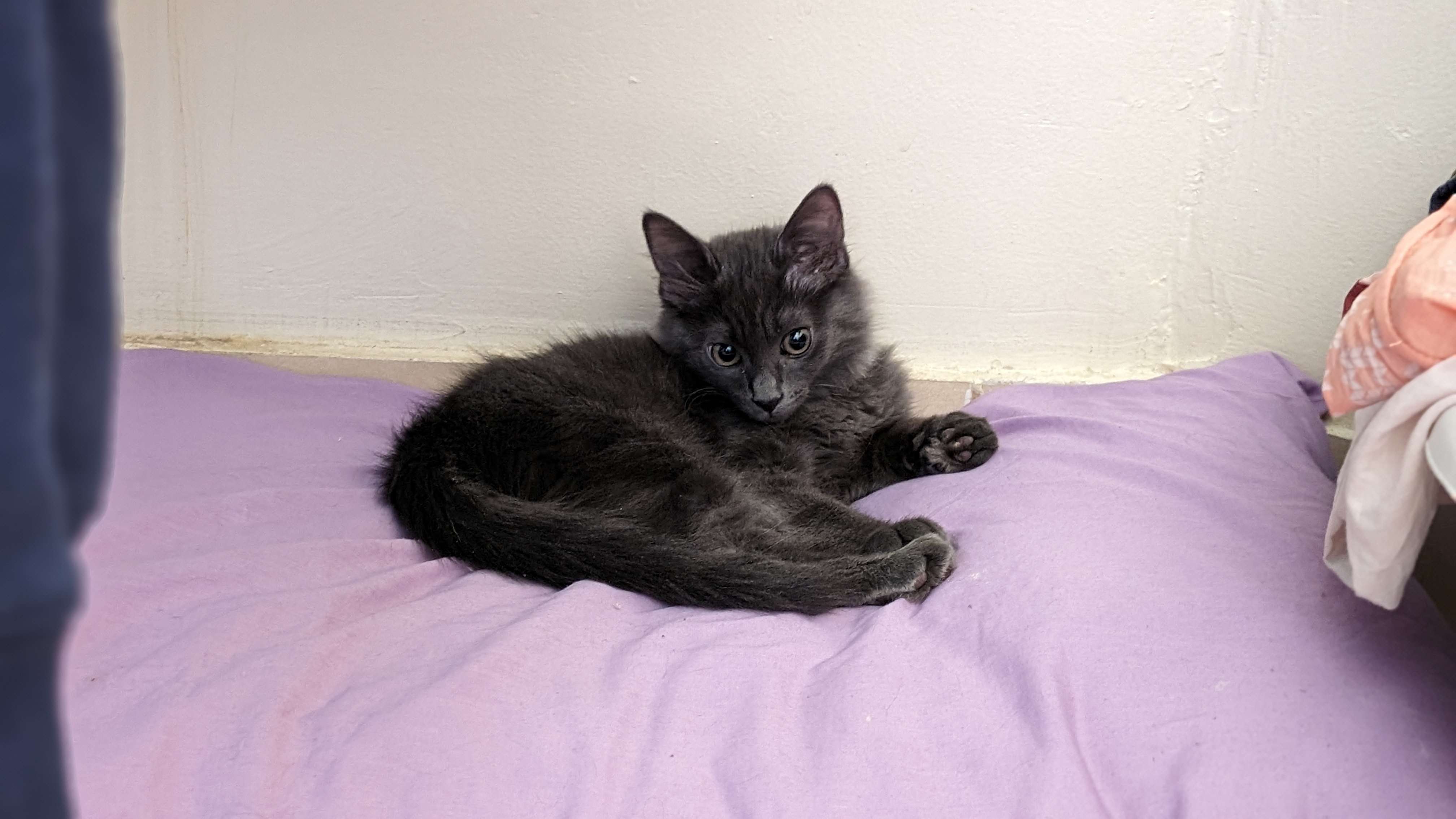 Welcome To My Website And Blog!